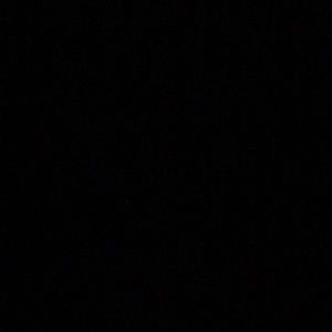 Meet your Posher, Maxine